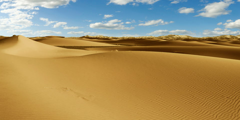 Fototapeta na wymiar sand dune in the sahara desert in morocco