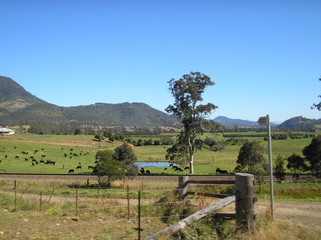 Farmlands, Eastern Australia