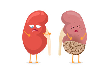 Healthy and sad suffering sick kidney with cancer characters. Human anatomy genitourinary system internal unhealthy tumor organ and strong compare. Vector cartoon illustration