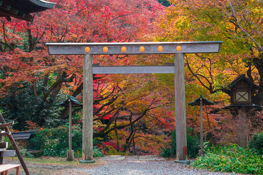 京都　日向大神宮（ひむかいだいじんぐう）の紅葉 