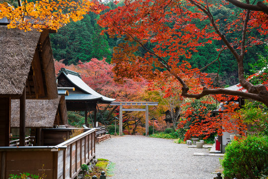 京都　日向大神宮（ひむかいだいじんぐう）の紅葉