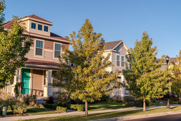 Row of houses on an urban street