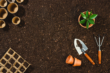 Gardening tools on soil texture background top view.
