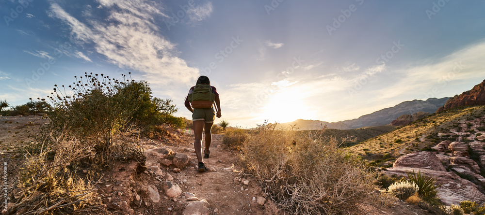 Wall mural athletic african american woman hiking through red rock canyon in nevada at sunset