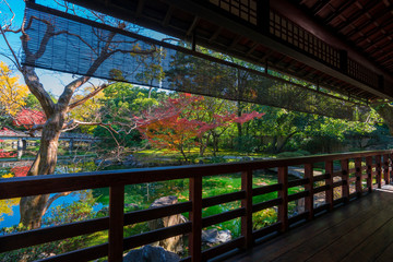 京都御苑の拾翠亭（しょうすいてい）と九條池　紅葉