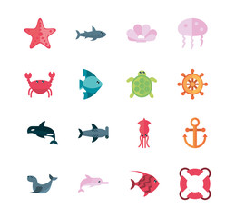 marine life, cartoon sea fauna animal set