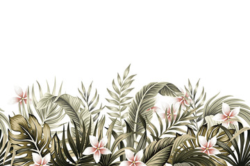 Naklejki  Tropikalne rocznika botaniczne liście palmowe, liście bananowca, roślina kwiatowy, plumeria kwiat bezszwowe granica białe tło. Tapeta egzotyczna zielona dżungla.