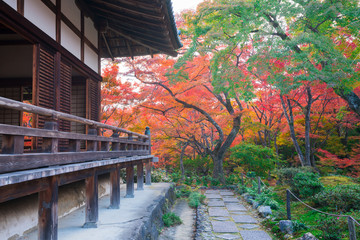 京都　宝筐院（ほうきょういん）の紅葉　　