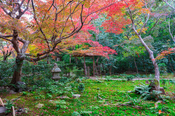 京都　厭離庵（えんりあん）の紅葉