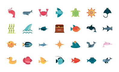 marine life, cartoon sea fauna animal set
