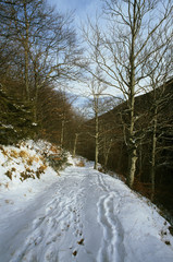 APPENNINO TOSCO EMILIANO | MAB UNESCO