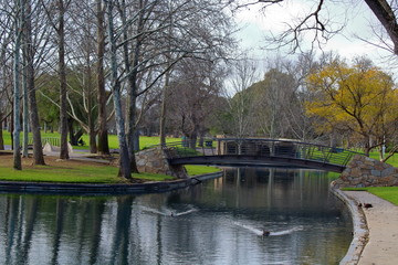 Fototapeta na wymiar Park in Adelaide, Australia