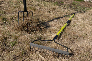 Fototapeta na wymiar Raking leaves using rake. Person taking care of garden house yard grass. Agricultural, gardening equipment concept