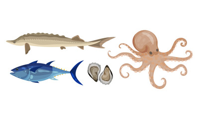 Raw and Uncooked Seafood Vector Set. Fresh Marine Products for Market