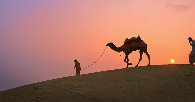 Indian cameleers (camel driver) bedouin with camel silhouettes in sand dunes of Thar desert on sunset. Caravan in Rajasthan travel tourism background safari adventure. Jaisalmer, Rajasthan, India