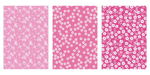 Japanese Cute Pink Cherry Blossom Abstract Vector Background Collection
