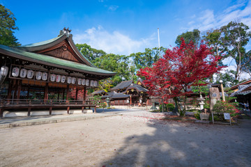 京都　今宮神社の紅葉　