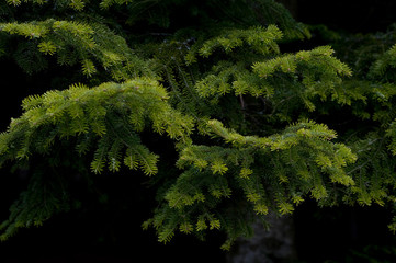 APPENNINO TOSCO EMILIANO | MAB UNESCO