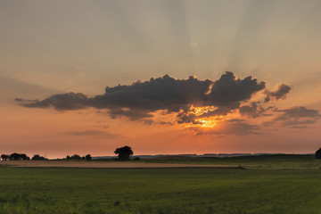 sunset over field