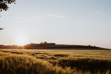 Fototapeta premium Sunset