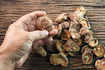 Hand Holding Dried Mushroom  Dried Mushroom on wooden background