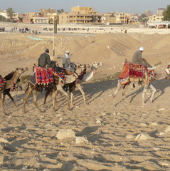 in Egypt