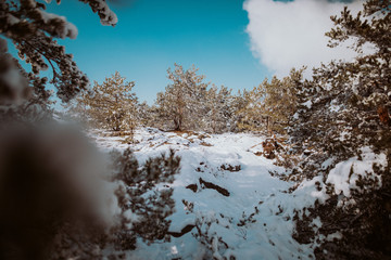 Snow