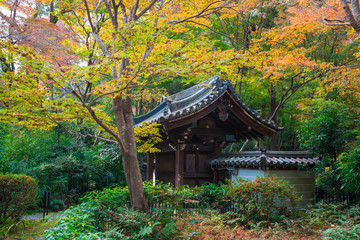 京都　泉涌寺の塔頭寺院の来迎院（らいごういん）