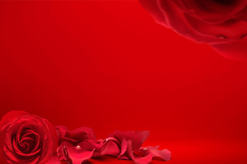 Red rose and rose petals on a red background