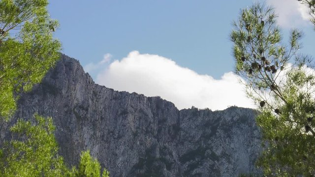 Clouds moving over steep rocky ridge with pine trees in foreground
