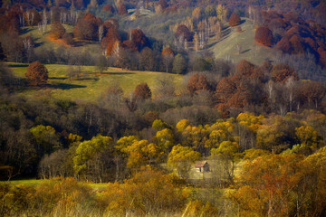 autumn landscape in the mountains