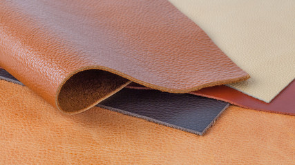 Multicolored natural leather textures samples