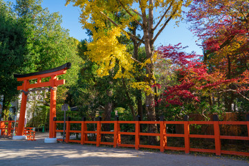 京都　上賀茂神社の紅葉