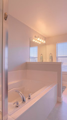 Vertical Fresh clean white modern bathroom interior bright interior