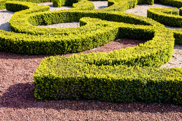 A parterre de broderie in a french formal garden, consisting of hedges of box tree pruned in elaborate geometric shapes, which ground is covered with white and red gravel.