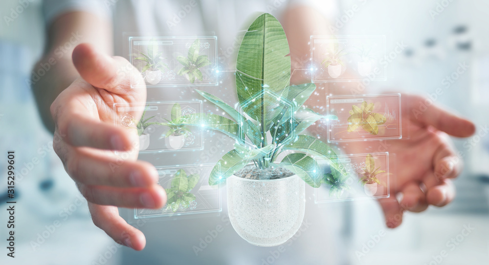 Leinwandbilder man holding and touching holographic projection of a plant with digital analysis 3d rendering