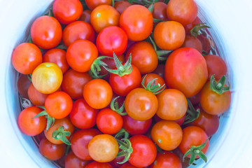 Freshly harvested organic ripe cherry tomato. Homegrown, gardening and agriculture consept. Top view.