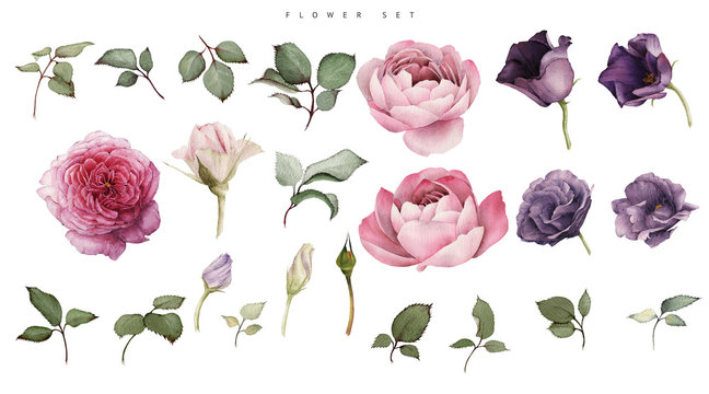 Roses and lisianthus. Flowers and leaves, can be used as greeting card, invitation card for wedding, birthday and other holiday and  summer background. Bouquet of flowers, watercolor illustration