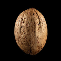 Macro shot of nut's seed on isolated black background, close-up. Copyspace for ad. Concept of...
