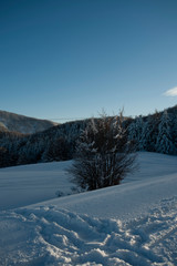 APPENNINO TOSCO EMILIANO | MAB UNESCO