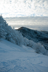APPENNINO TOSCO EMILIANO | MAB UNESCO