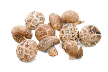 Shiitake mushrooms isolated on white background