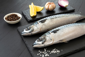 Fresh, raw mackerel with spices on a black concrete background