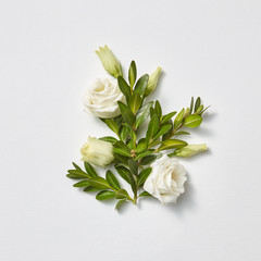 Greeting card beautiful white roses with evergreen twigs.