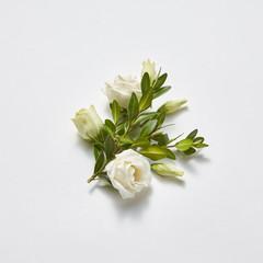 Congratulation card with natural green twig and roses.