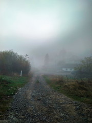 Naklejka na ściany i meble Autumn road and fog with the silhouette of trees