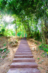 Concrete stair in national park