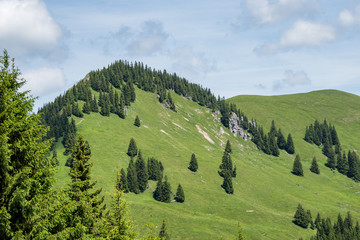 Landscape around Bad Hindelang in Bavaria, Germany