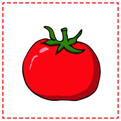 Red Tomato.Vector botanical illustration in cartoon style. Isolated object on white background. Suitable for menus, kitchen prints, textiles.