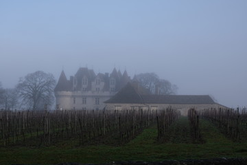 Château dans la brume